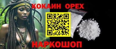 твердый Гусев