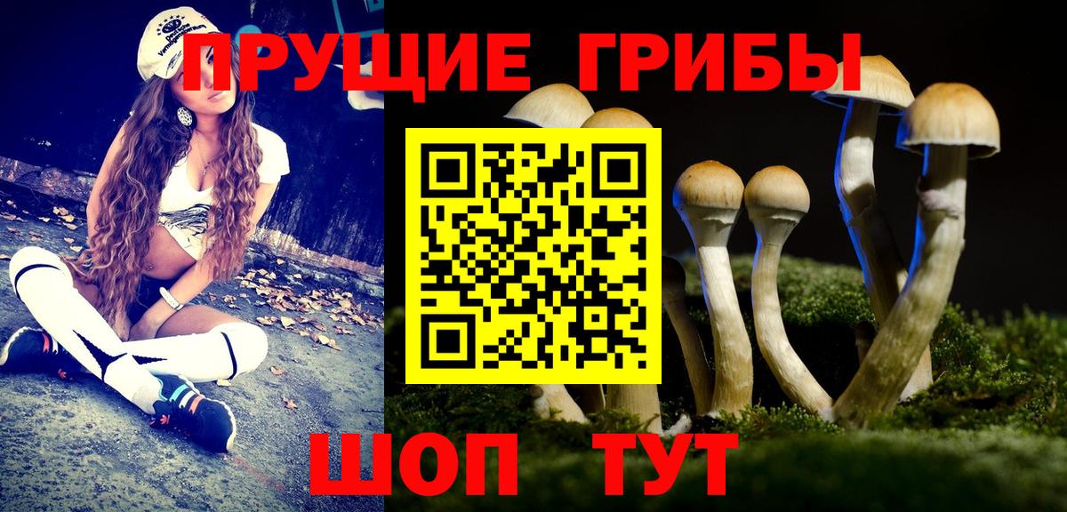 Галлюциногенные грибы Cubensis Тихорецк