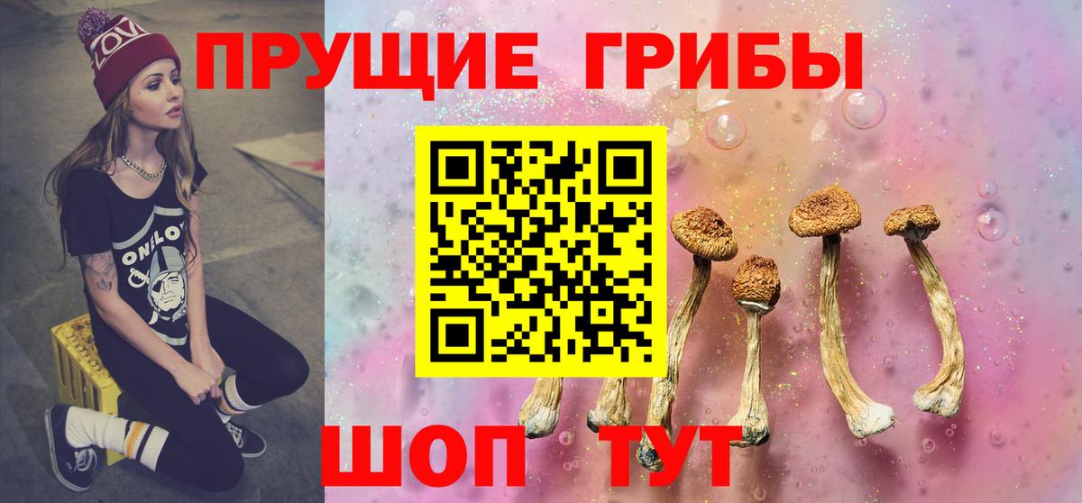 Псилоцибиновые грибы мухоморы  Галлюциногенные грибы Cubensis  Тихорецк  Вход с VPN 
